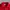 PIKO Fleece Jacket Full Zip – Red photo 3