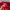 PIKO Fleece Jacket Full Zip – Red photo 5