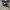 Converse One Star Ox Suede Black White photo 1