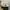 Converse One Star Ox Suede Black White photo 7