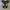 Converse One Star Ox Suede Black White photo 4