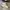 Converse One Star White Black photo 1