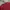 T Shirt Uniqlo U Maroon