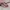 Vans SK8 Hi Checkerboard pink white photo 1