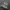 nike jordan low photo 1