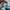 nike jordan low photo 6