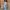 Uniqlo Streetwear Jeans Pria multicolor photo 4