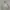 Adidas M VRCT Hoodie Big Swosh  photo 1