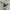 Adidas M VRCT Hoodie Big Swosh  photo 3