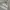 Adidas M VRCT Hoodie Big Swosh  photo 2