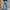 Uniqlo Streetwear Casual Jeans Pria multicolor photo 5
