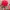 Snapback Kings Nba photo 7