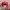 Snapback Kings Nba photo 5