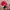 Snapback Kings Nba photo 6