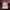 Undercover Streetwear Trench coat Pria red photo 6