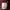 Undercover Streetwear Trench coat Pria red photo 5