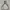 National geographic Zip Hoodie  photo 5