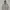 National geographic Zip Hoodie  photo 1