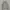 National geographic Zip Hoodie  photo 2