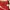 Original Man United 2020-2021 Home Ronaldo Football jersey photo 3