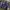 Crewnek fila logo  photo 3