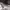 Jnco cargo 22  photo 3