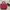 belleza bag  photo 1