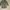 Men’s/Women’s Military Green Fur-Trimmed Parka Jacket

 photo 1