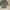 Men’s/Women’s Military Green Fur-Trimmed Parka Jacket

