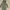 Men’s/Women’s Military Green Fur-Trimmed Parka Jacket

 photo 2
