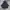 Baju anak winter jacket bluedog photo 1