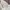 Mint Dress over jeans milkmaid cottage fairy  morikei photo 4