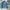 Jacket Windbreaker Gleiten photo 2