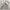 Beams Lolita Casual Casual pants Pria cream photo 2
