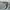Volcom Streetwear Grunge Jeans Pria gray photo 5