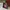 Album Blackpink 1st Mini Album Square Up Black Edition photo 1