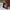 Album Blackpink 1st Mini Album Square Up Black Edition