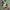CHAINSAWMAN VOL 3 ENGLISH photo 1