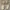 Streetwear Casual Heels Wanita white khaki cream photo 4