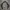WINDBREAKER NIKE GOLF photo 1