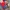CHAINSAWMAN VOL 4 ENGLISH photo 2