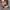 CHAINSAWMAN VOL 5 ENGLISH photo 2