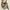 Vivienne Westwood Gold Label Crystal Stones Mini Dress photo 5