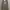 Hoodie Champion photo 1