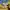 HD LECOQ photo 4