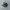 New Balance Fuelcell Rebel V4 Midnight Black photo 2