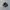 New Balance Fuelcell Rebel V4 Midnight Black photo 1
