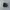 New Balance Fuelcell Rebel V4 Midnight Black photo 5