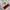 The Tokyo Zodiac Murders - Soji Shimada photo 4