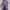 Fairy Batik Prom dress Wanita multicolor photo 5
